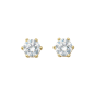 Preview: Bedra Ohrstecker Diamant 0,70 ct. Weißgold OSB90358.5